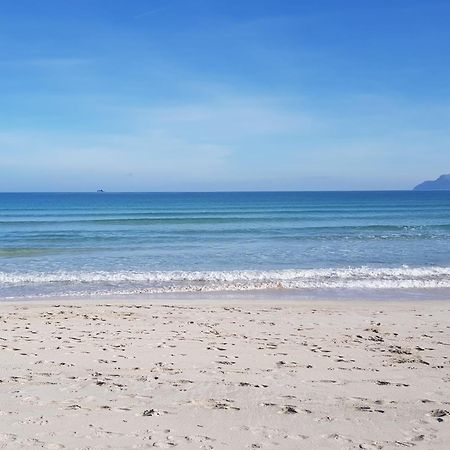 Ideal Property Mallorca - Cittadini 26 Port de Alcudia  Bagian luar foto